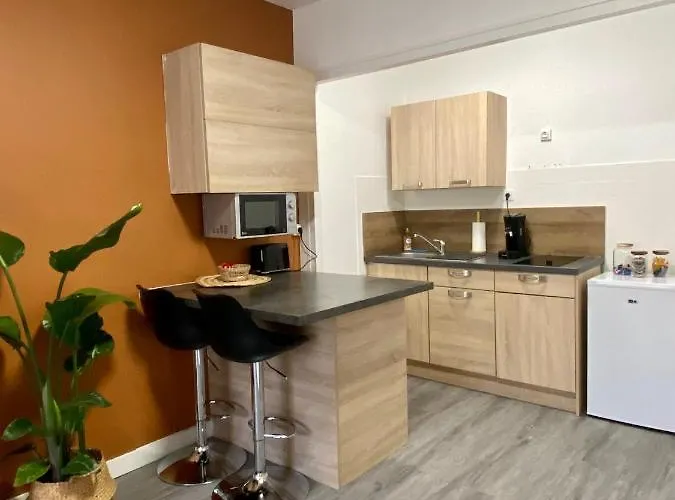 Studio Confort Centre Ville