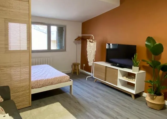 Studio Confort Centre Ville